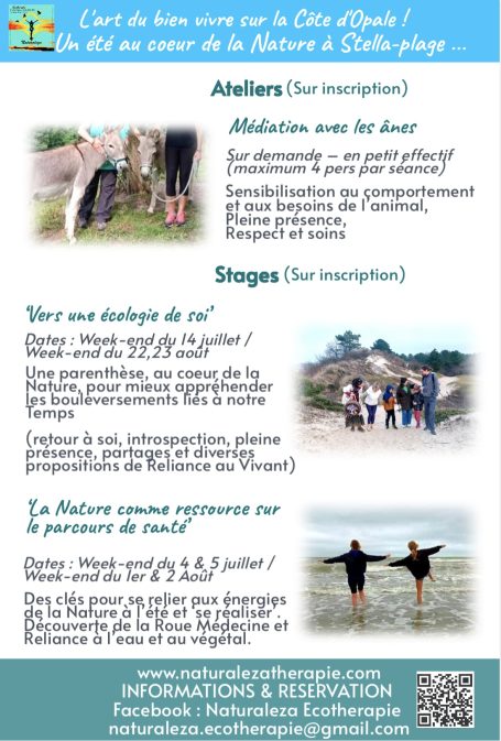Programme de l’été 2026 : Ateliers & Stages