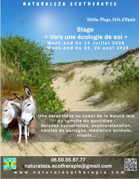Stage ‘Vers une écologie de soi’